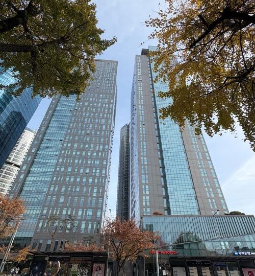 트윈시티 남산