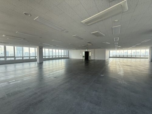 페이토플레이스